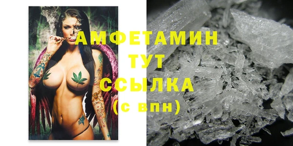 шишки Армянск