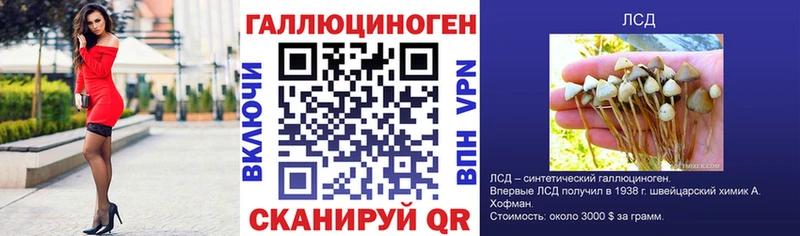 Галлюциногенные грибы Psilocybine cubensis  Лангепас 